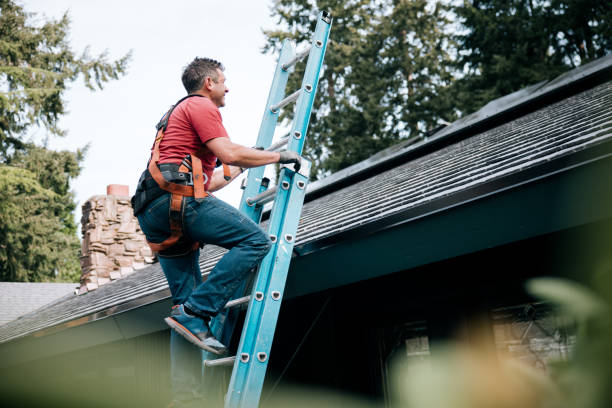 Best Asphalt Shingle Roofing  in Waldpt, OR